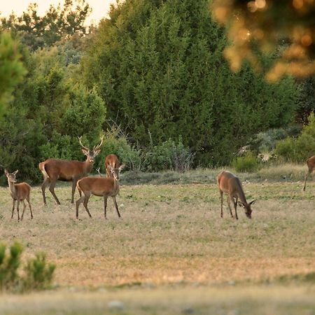 Casaguapa Alto Tajo Villa Armallones Kültér fotó